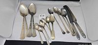 Group shot of all flatware pieces