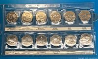 Full view of plastic sleeve showing all 12 coins
