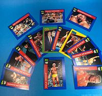 All fourteen cards fanned out on blue background