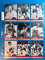 full 9-card sheet front view