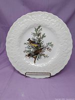 Front view of plate showing bird illustration and embossed rim