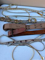 All nine belts laid out on table