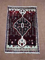 Full view of rug showing overall design, colors and fringe