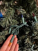Close-up of branch tips and multicolour mini lights on green wire