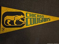 Full view of yellow Chicago Cougars pennant with signatures