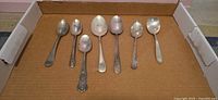 All seven spoons laid out side by side showing full view