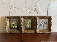Front view of the three framed prints lined up