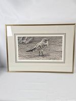 Framed Robert Bateman limited edition print showing gull and horseshoe crab