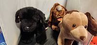 Front view of three dog plush toys