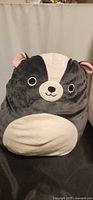 Front view of Squishmallows Skyler the Skunk plush
