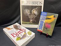 All three books standing and angled to show covers