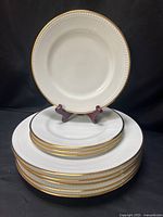 Stack of six dinner plates under four salad plates, single dinner plate displayed on stand