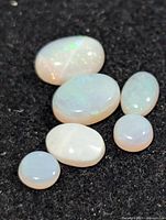 Six opal cabochons on black background