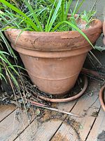 front view of planter showing rim wear, saucer and plant