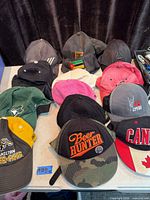 All 15 caps laid out on table showing variety