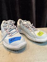 Top view of both Nike Fitsole shoes showing uppers and laces