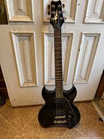 Full front view of guitar against door