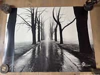 Full view of Larry Silver black-and-white poster laid flat showing entire image and size context