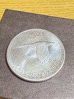 Reverse of 1967 Canada goose dollar showing design and wear