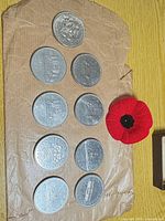All nine coins laid out in three rows on brown paper with poppy for scale reference