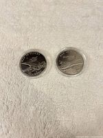 Front view of both Man in Flight coins in capsules