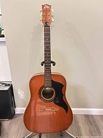 Front view of Eko Ranger 6 guitar on stand