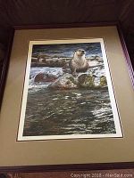 Framed print showing river otter on mossy rocks in flowing water.