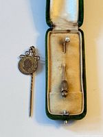 Both stick pins in open green velvet box