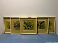Five of the six framed bird prints lined up front view