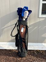 Front view of TaylorMade stand bag with clubs inside