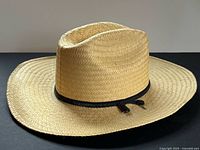 Full view of straw hat showing crown and brim