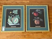 Both framed botanical fruit prints side by side