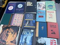 Top-down view of all books in lot