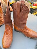 Both boots side view showing ostrich foot and shaft