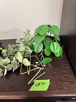 Potted plant and eucalyptus stems side by side on shelf