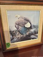 Front view showing entire framed print of bald eagle