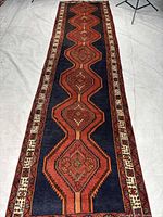 Full length view of the runner rug showing overall pattern and size