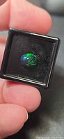 Black opal cabochon in plastic case held between fingers