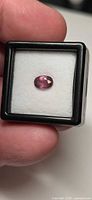 Oval purple-pink spinel in display case, frontal view
