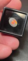 Oval opal cabochon in display case, showing red and yellow flashes