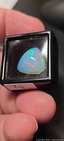 Trillion cabochon opal in display box showing multicolored play-of-color