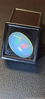 Oval jelly opal cabochon in gem box displaying multicolour flashes