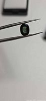Oval faceted forest green sapphire held in tweezers