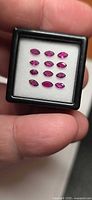 Front view of 14 marquise-cut rubies in display box