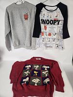 All three Peanuts tops hanging: grey sweatshirt, raglan tee, red knit sweater