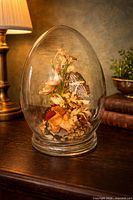 Full view of glass cloche on table showing dried florals and butterfly inside