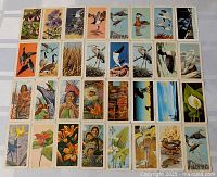 Top-down view of all 32 tea cards arranged in four rows of eight