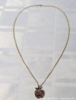 Entire necklace laid out in oval to show chain and pendant