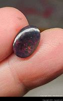 Front view of oval Ethiopian black opal showing play of colors