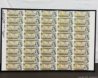 Front view of framed uncut sheet displaying forty Canadian $1 bills